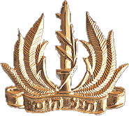 Navy Insignia