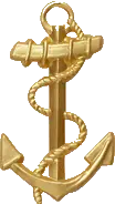 Insignia de la Flota