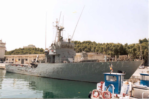 Photo by Eugenio Castillo Pert