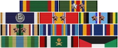 Awards Ribbons