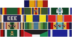 Awards Ribbons